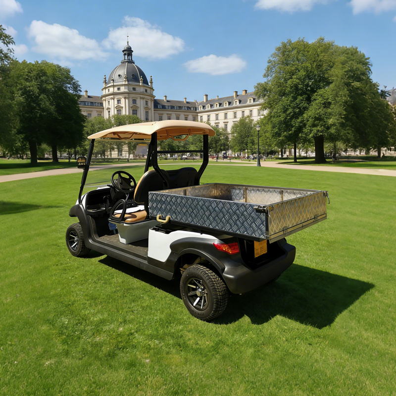 Electric Golf Cart Utility Cargo Bed Box For Sale