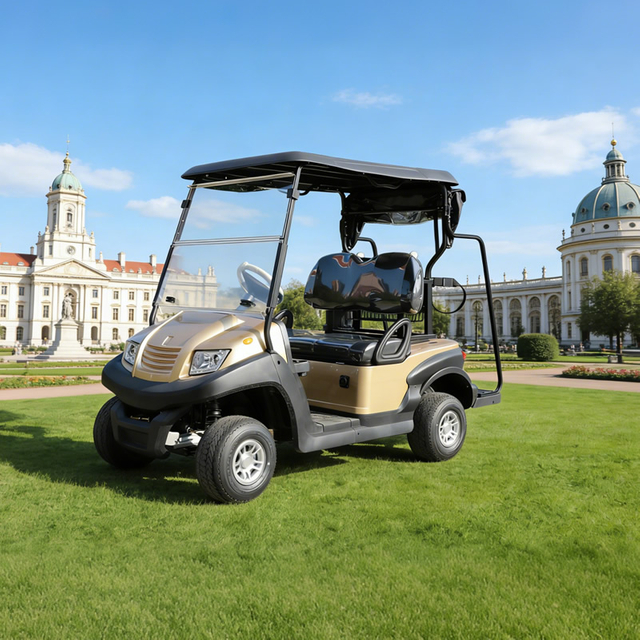 Custom Golf Cart Price for A Golf Cart 