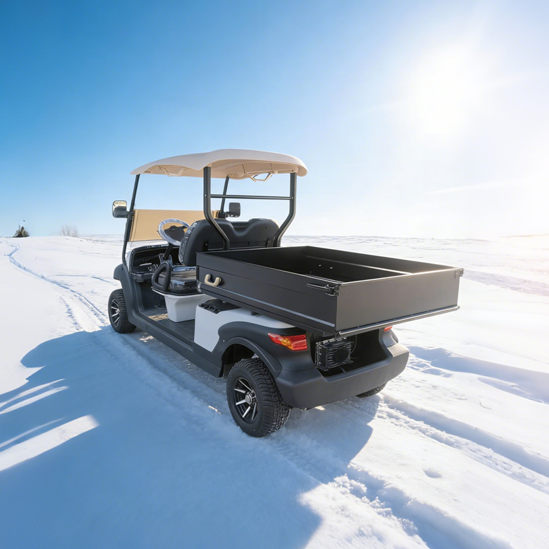 Custom Golf Cart Utility Bed with Cargo Box For Sale - Eagle Golf Cart