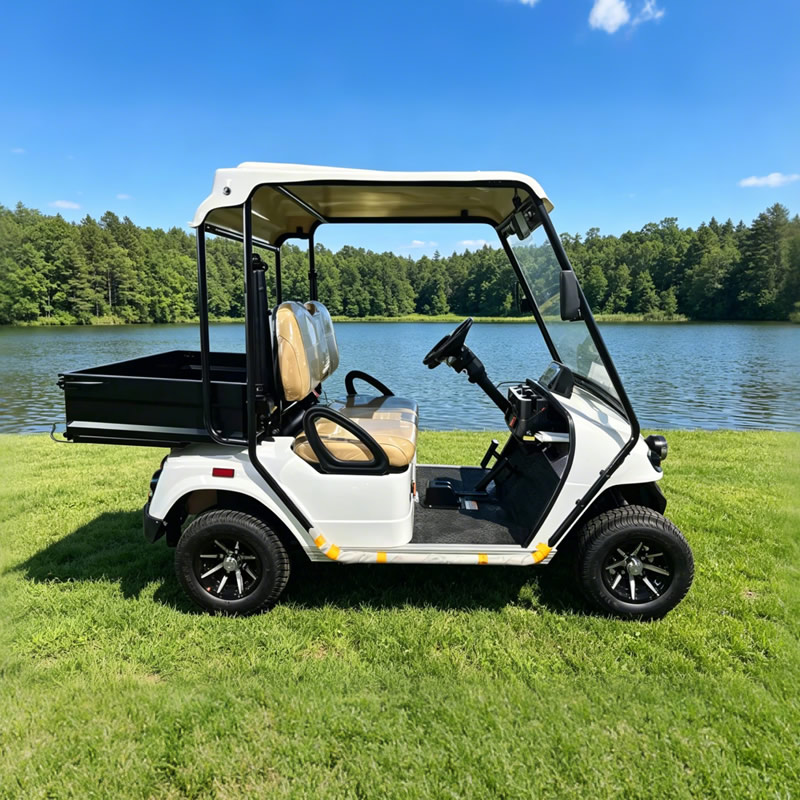 Custom Mimi Electric Golf Cart Buggy Off Road With Box