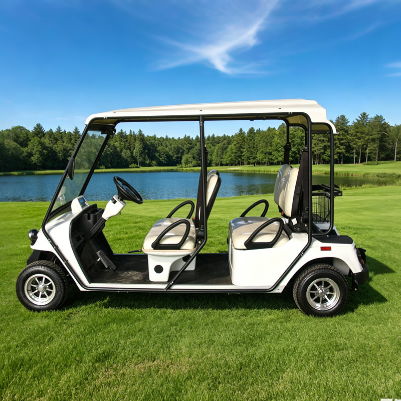 Custom Street Legal Electric Golf Cart - Eagle Golf Cart