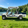 72V Electric 2wd Offroad Off Road Mini Pickup Truck Hunting Golf Cart - Eagle Golf Cart