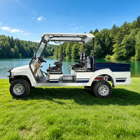 72V Electric 2wd Offroad Off Road Mini Pickup Truck Hunting Golf Cart - Eagle Golf Cart
