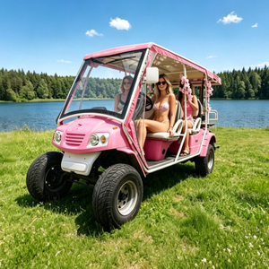 Luxury 6-Seater Pink Electric Sightseeing Car for Theme Parks - Eagle