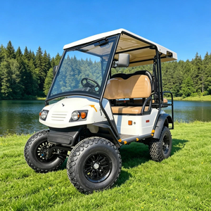 Wholesale Chinese 48V 2+2 Seat Off Road Golf Cart Manufacturer - Eagle