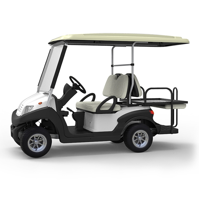 48v utility 2 + 2 4 seater golf carts - EG202ASKZ