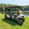 Custom Rear of 4 Seater Electric Golf Cart Manufacturer - Eagle 