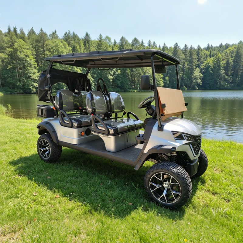 Custom Rear of 4 Seater Electric Golf Cart Manufacturer - Eagle 