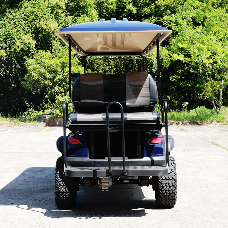 Custom Electric Lithium 8 Passenger Golf Cart EG2068KSZ