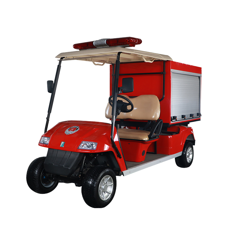 Custom 2 Seats Mini Electric Fire Food Golf Cart with Box - EG6010F