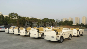 electric burden carrier.jpg