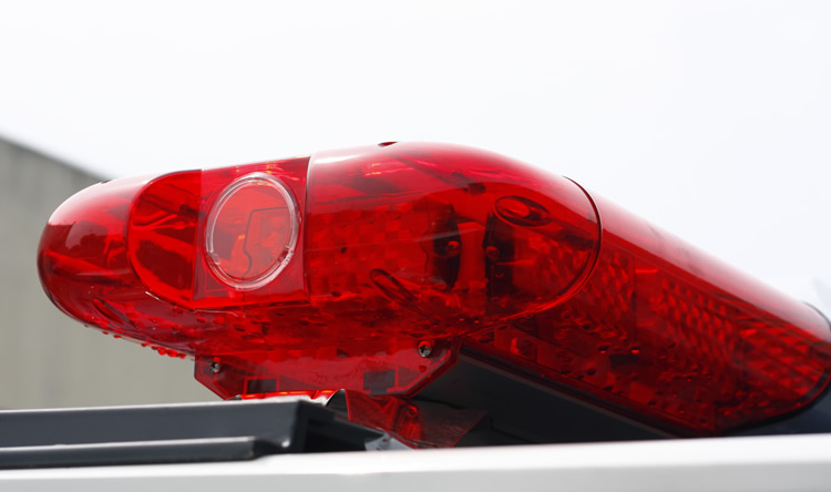 custom electric patrol cart