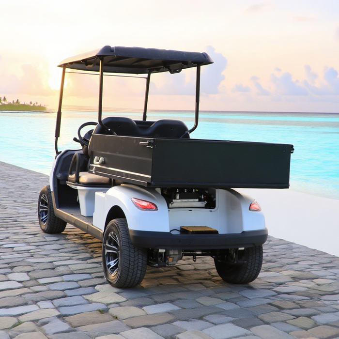 Utility Golf Carts Buggy with Cargo Box