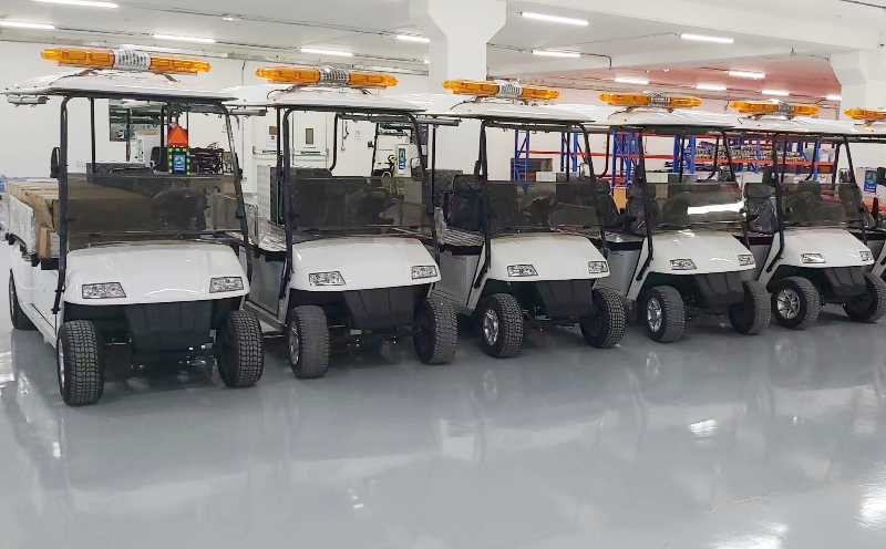 Electric Golf Carts