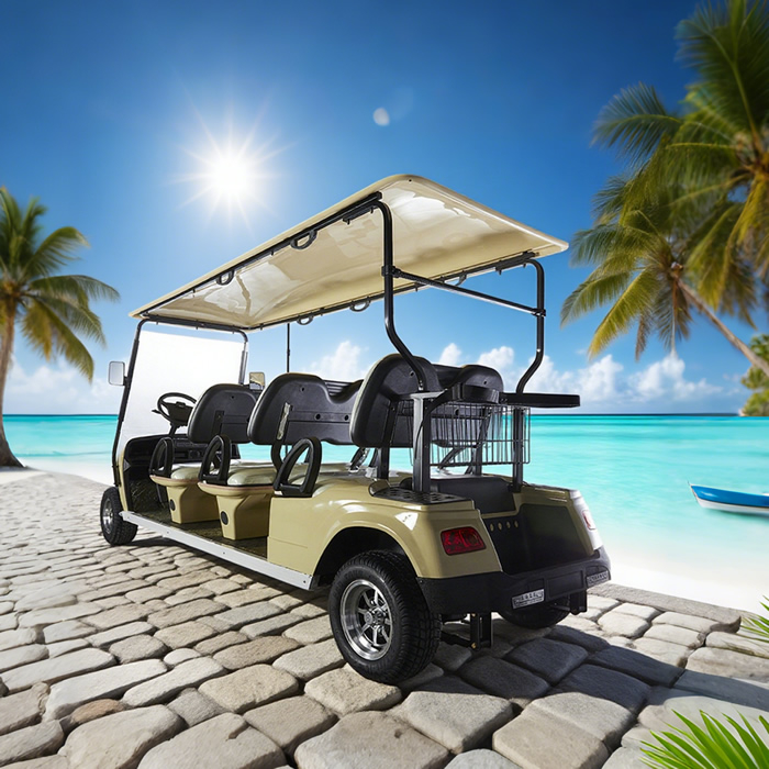 Custom Vehicle Sightseeing Bus Car 6 Passenger Person Seat Electric Golf Cart - Eagle Golf Cart