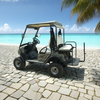 Wholesale Electric Off Road Golf Cart Manufacturer
