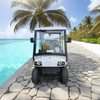 Custom 6 Seater Street Legal Electric Golf Cart - 2048HSZR