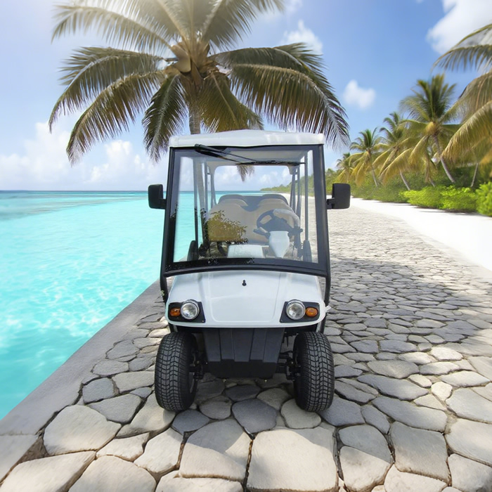 Custom 6 Seater Street Legal Electric Golf Cart - 2048HSZR