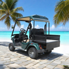 China Mini 2 Seater Electric Hunting Offroad Golf Off Road Buggy - Eagle Golf Cart