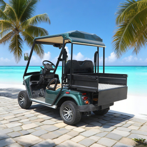 China Mini 2 Seater Electric Hunting Offroad Golf Off Road Buggy - Eagle Golf Cart