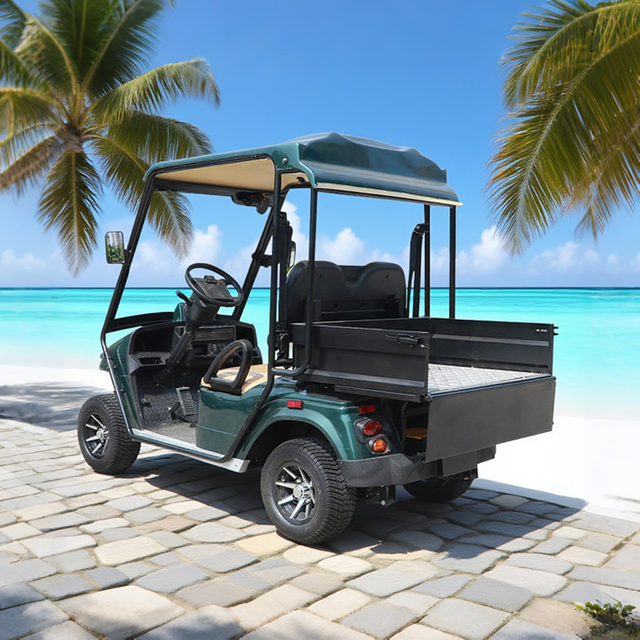 China Mini 2 Seater Electric Hunting Offroad Golf Off Road Buggy - Eagle Golf Cart