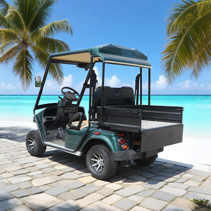 China Mini 2 Seater Electric Hunting Offroad Golf Off Road Buggy - Eagle Golf Cart