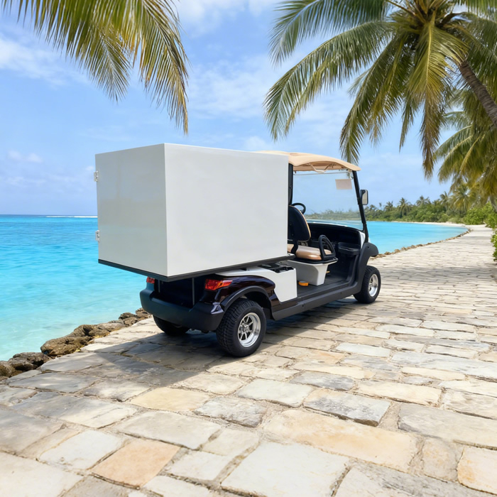 Food And Beverage Delivery Truck Golf Cart for Sale