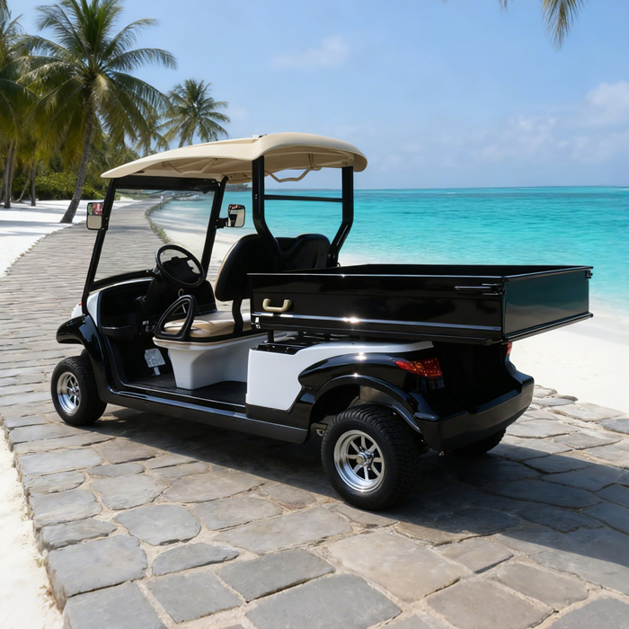 Custom Golf Cart Utility Bed with Cargo Box For Sale