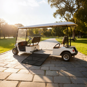 Custom Wholesale Disabled Utility Handicapped Golf Cart Manufacturer