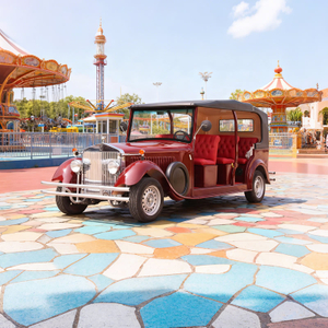 Custom Electric Sightseeing Classic Car Vehicles