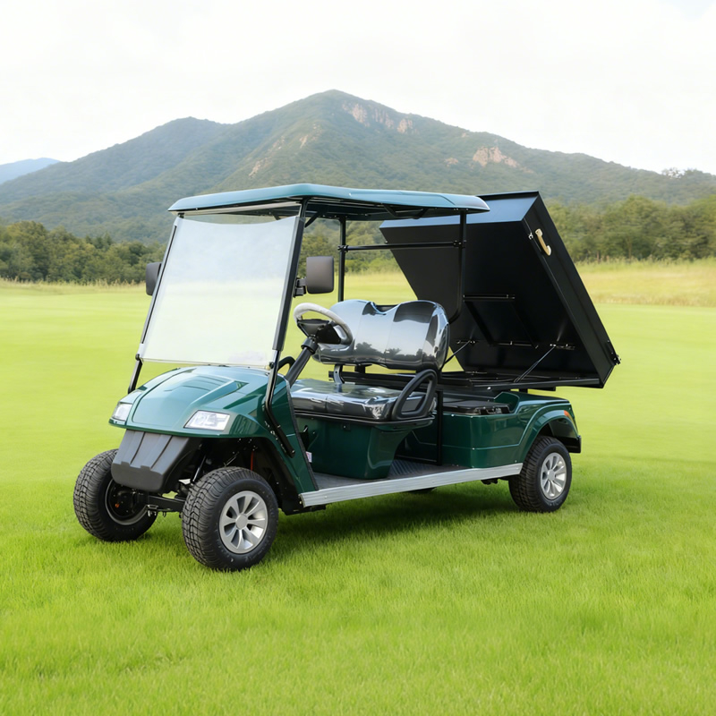 Custom Manufacturer Company Golf Cart Price with Cargo Dump Bed