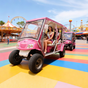 Luxury 6-Seater Pink Electric Sightseeing Car for Theme Parks