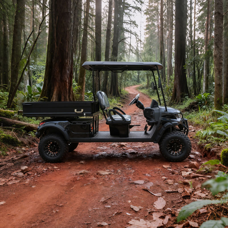Electric Off Road Lifted Utility Golf Cart with Cargo Box