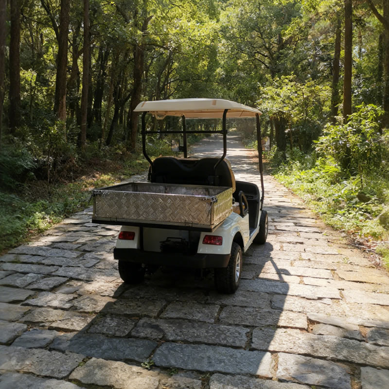 Golf Cart Aluminum Cargo Box with Stainless Steel Frame - EG2028H