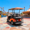 Custom Chinese 2 Seater Mini Golf Carts