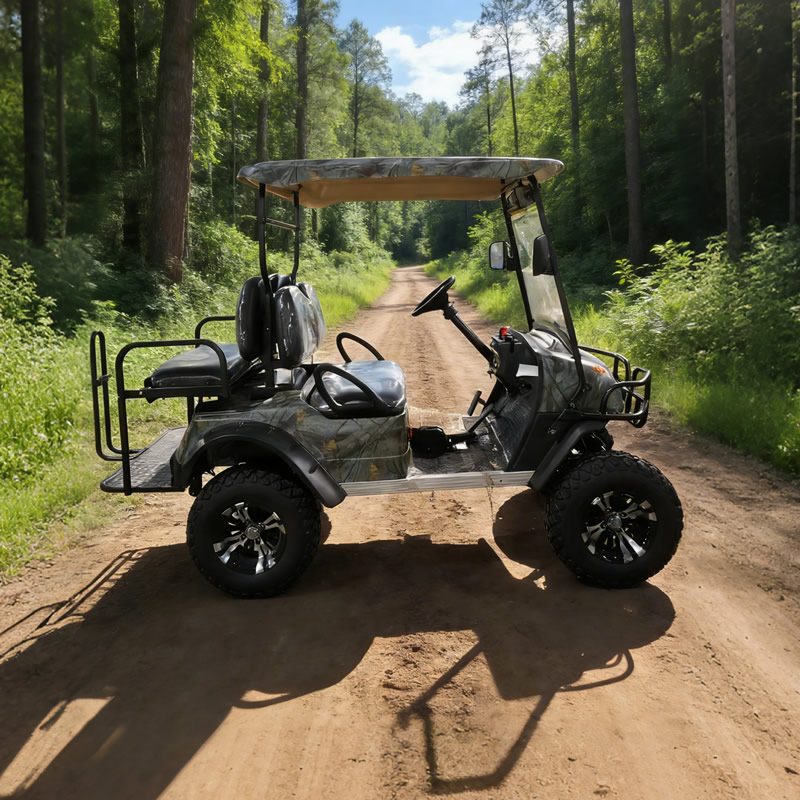 Custom 4 Seater Utility Vehicle Electric Buggy Off Road 