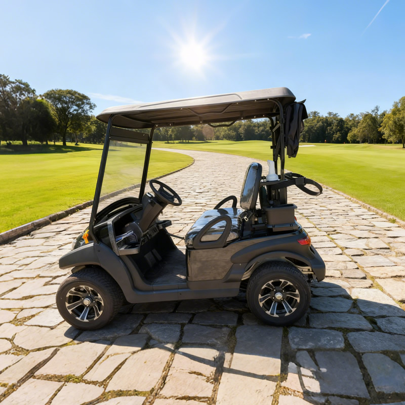High Quality 2 Seater Mini Electric Battery Golf Cart