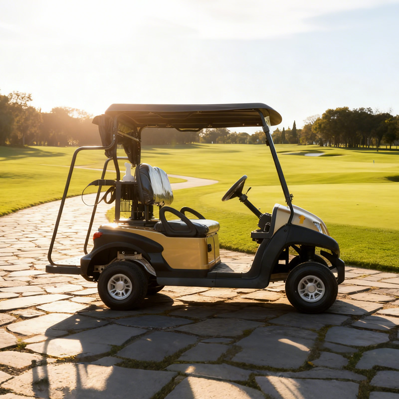 Custom Golf Cart Price for A Golf Cart