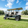 Custom Electric Hunting Off Road Golf Cart Cargo Truck Buggy Vehicle with Box Certification