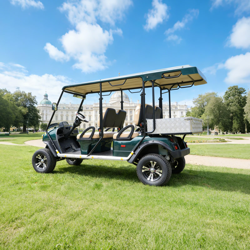 Custom Electric Hunting Off Road Golf Cart Cargo Truck Buggy Vehicle with Box Certification