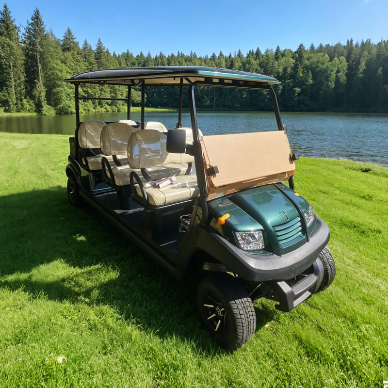 Carros Palos De Golf Electricos Nuevos Chinos Republica Dominicana Personalizados - Eagle Golf Cart