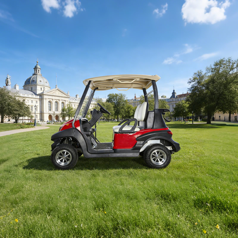 High Quality 2 Seater Mini Electric Battery Golf Cart 