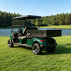 Heavy-Duty 2 Seater Utility Golf Cart with Cargo Box - Eagle