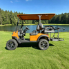 Luxury lifted utility 2+2 4 person seater golf cart