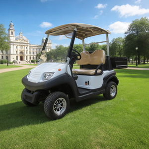 Custom utility golf cart with box manufacturer - Eagle Golf Cart