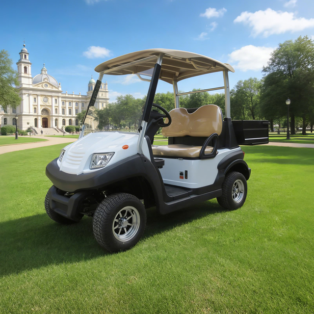 Custom utility golf cart with box manufacturer - Eagle Golf Cart