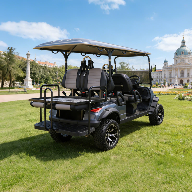 Custom Lithium Battery 48v Six 6 Seater Wholesale Golf Carts