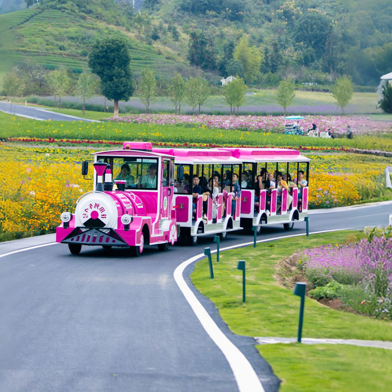 Leading Trackless Train Manufacturer | Electric Tourist Trains Factory Direct - EAGLE