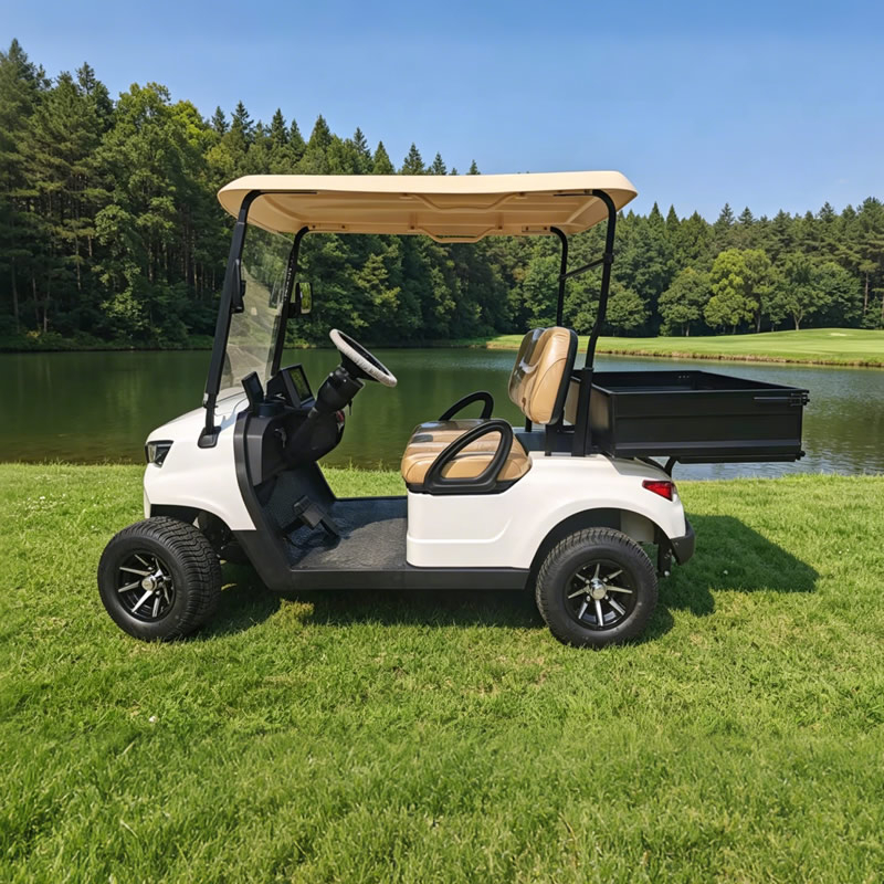 Premium Mini Electric Golf Buggy Carts with Cargo Dump Bed | Efficient & Eco-Friendly Solutions