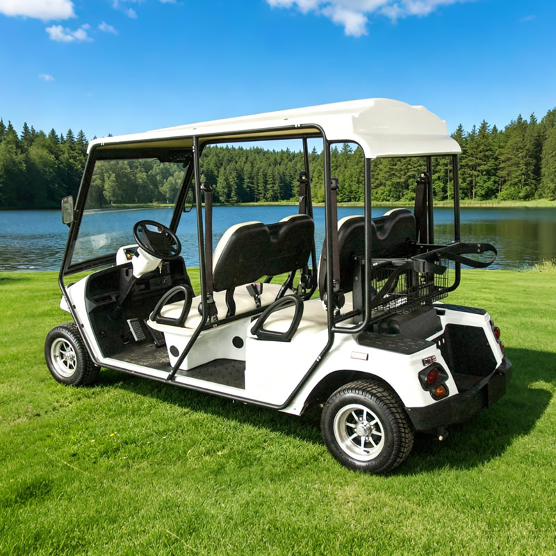 Custom Street Legal Electric Golf Cart - Eagle Golf Cart
